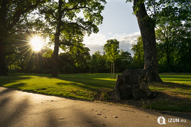 Dýně, samet a svařák: studentský průvodce akcemi na podzim a zimu v Praze 2025/26